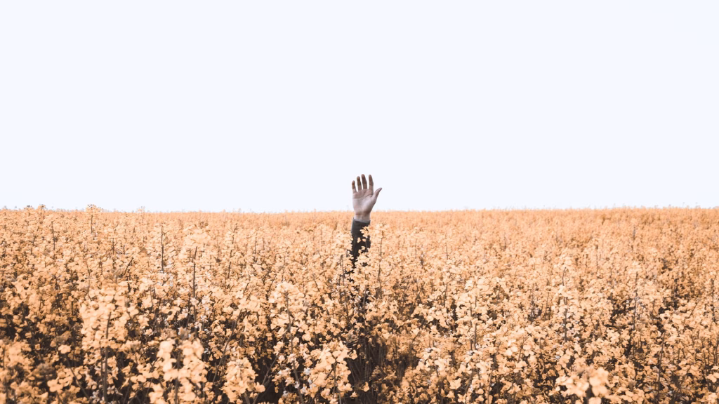 Inbound marketing - slik lykkes du
